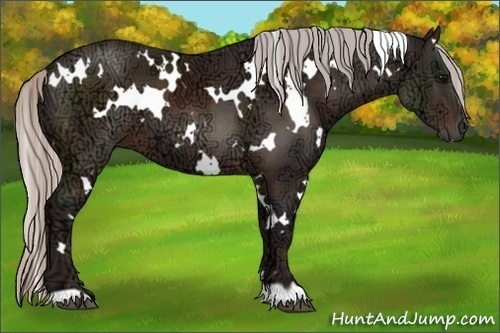 Horse Color:White Spotted Silver Brown Ice