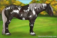 Horse Color:White Spotted Silver Brown Ice 