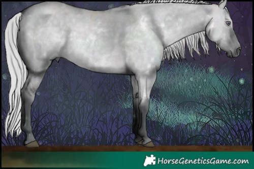 Horse Color:White Spotted Silver Grullo Chinchilla 