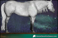 Horse Color:White Spotted Silver Grullo Chinchilla 