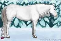 Horse Color:White Spotted Blue Roan Splash Frame Appaloosa