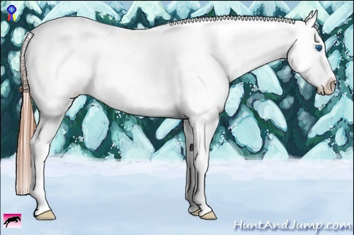 Horse Color:Bay Ice Roan Splash Near Leopard 