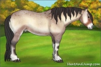 Horse Color:Buckskin Roan Onyx 
