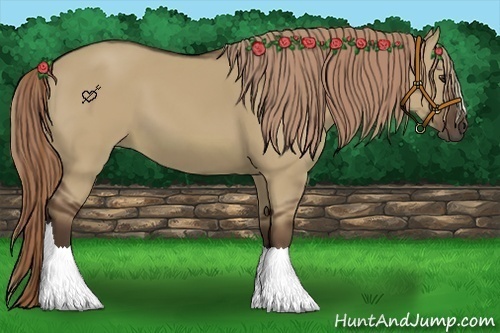 Horse Color:Liver Red Dun 