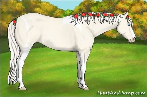 Horse Color:Cremello Dun Tobiano