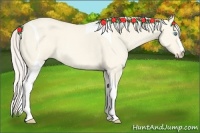 Horse Color:Cremello Dun Tobiano 