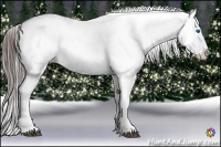Horse Color:White Spotted Blue Roan Splash Frame Appaloosa 