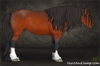 Horse Color:Brown 