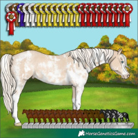 Horse Color:White Spotted Cremello Sabino