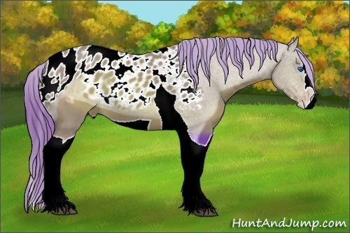 Horse Color:ERROR: UNKNOWN ANOMALY