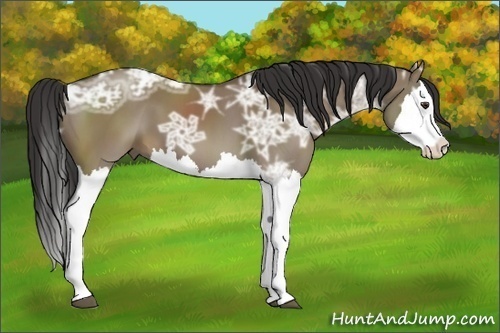 Horse Color:Liver Red Dun Ice Splash 