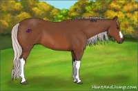 Horse Color:Silver Bay