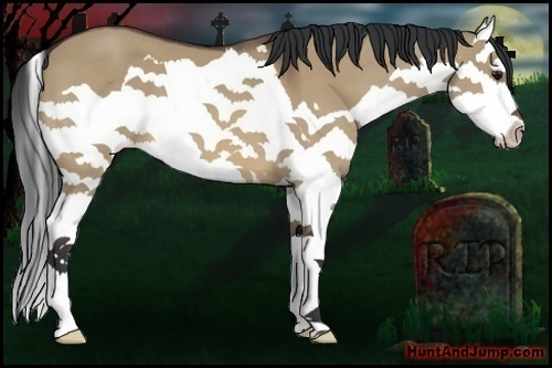 Horse Color:Bay Dun Splash 