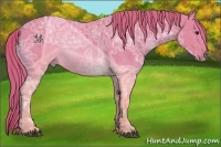Horse Color:Watercolor Chestnut Ice 