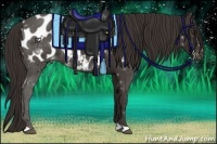 Horse Color:Liver Chestnut Blanket Rabicano 