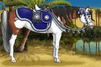 Horse Color:Bay Splash Frame