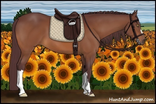 Horse Color:Chocolate Bay 