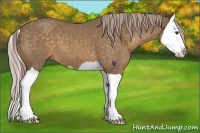 Horse Color:Chocolate Palomino Splash 