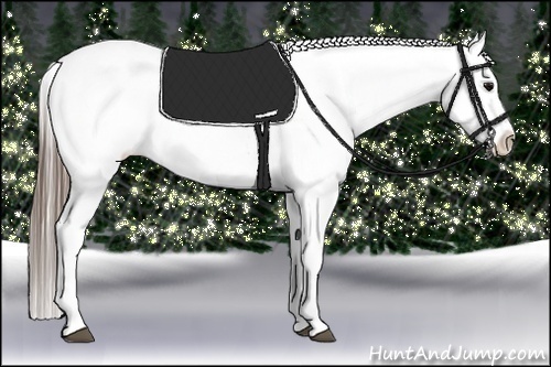 Horse Color:White Spotted Blue Roan Splash Frame Varnish 