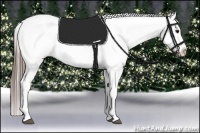 Horse Color:White Spotted Blue Roan Splash Frame Varnish 