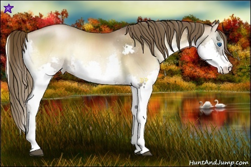 Horse Color:Liver Red Onyx Pearl Splash  and Liver Red Onyx Pearl Splash 