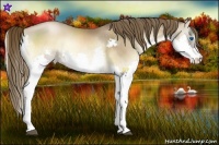 Horse Color:Liver Red Onyx Pearl Splash and Liver Red Onyx Pearl Splash