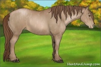 Horse Color:Brown Pearl  Brindle