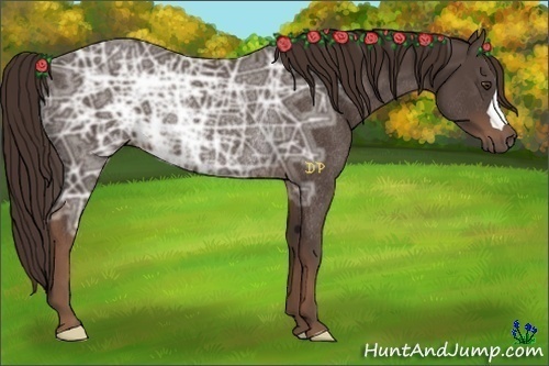 Horse Color:Liver Chestnut Ice Rabicano