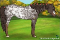 Horse Color:Liver Chestnut Ice Rabicano