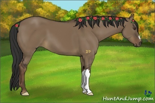 Horse Color:Liver Red Dun 