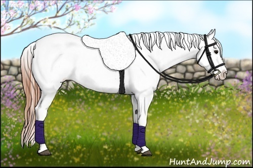 Horse Color:White Spotted Blue Roan Splash Frame Appaloosa