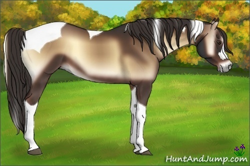 Horse Color:Liver Red Onyx Tobiano 