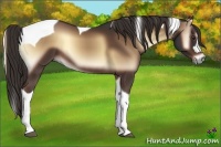 Horse Color:Liver Red Onyx Tobiano