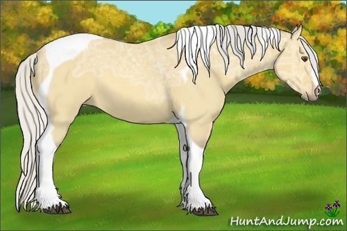 Horse Color:Silver Buckskin Ice Dun Tobiano 