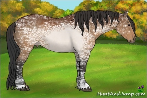 Horse Color:Brown Ice Rabicano 