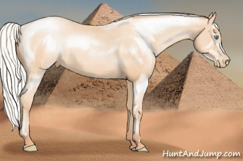 Horse Color:Silver Amber Champagne Pearl