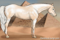 Horse Color:Silver Amber Champagne Pearl