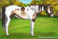 Horse Color:Liver Red Onyx Tobiano