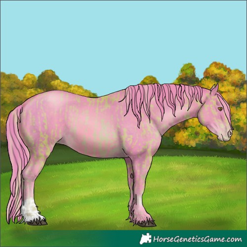 Horse Color:Watercolor Liver Chestnut Pearl  and Watercolor Brown Pearl 