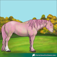 Horse Color:Watercolor Liver Chestnut Pearl and Watercolor Brown Pearl