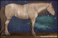 Horse Color:Blue Roan Pearl  Brindle