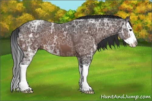 Horse Color:Bay Ice Splash 