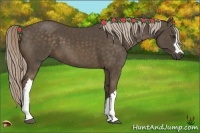 Horse Color:Chocolate Palomino