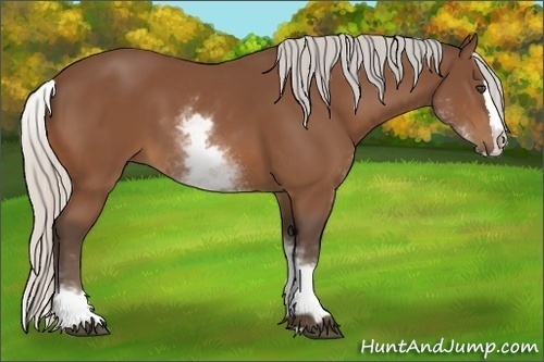 Horse Color:White Spotted Silver Bay Splash