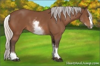Horse Color:White Spotted Silver Bay Splash 