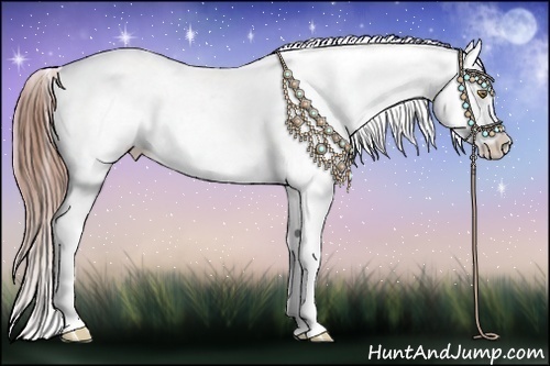 Horse Color:Buckskin Pearl Onyx Appaloosa  Brindle