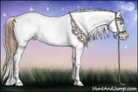 Horse Color:Buckskin Pearl Onyx Appaloosa  Brindle
