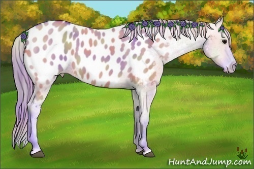 Horse Color:Nacre Watercolor Grullo Appaloosa 