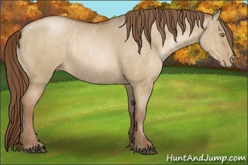 Horse Color:Bay Pearl Dun  Brindle