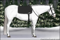 Horse Color:White Spotted Blue Roan Splash Frame Blanket 